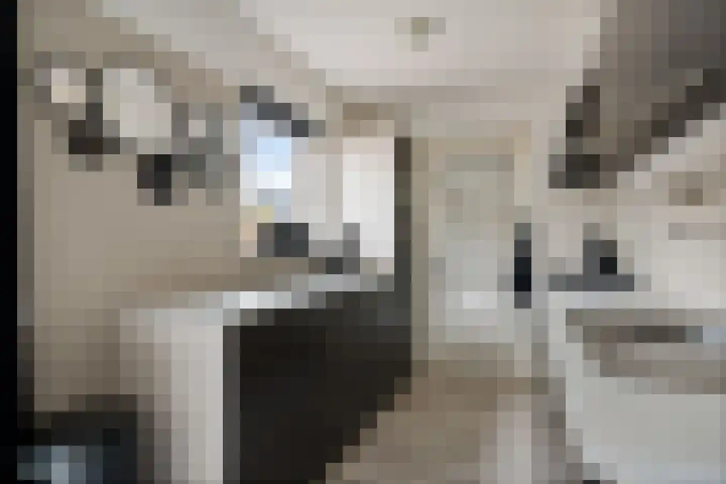 Koos Gaastrastrjitte 8 Sneek thumbnail 11
