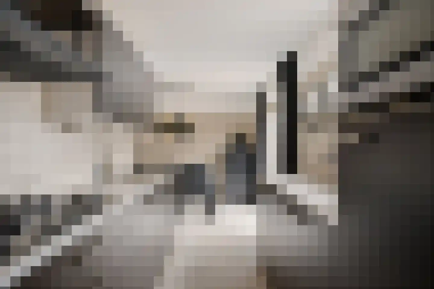 Koos Gaastrastrjitte 8 Sneek thumbnail 12