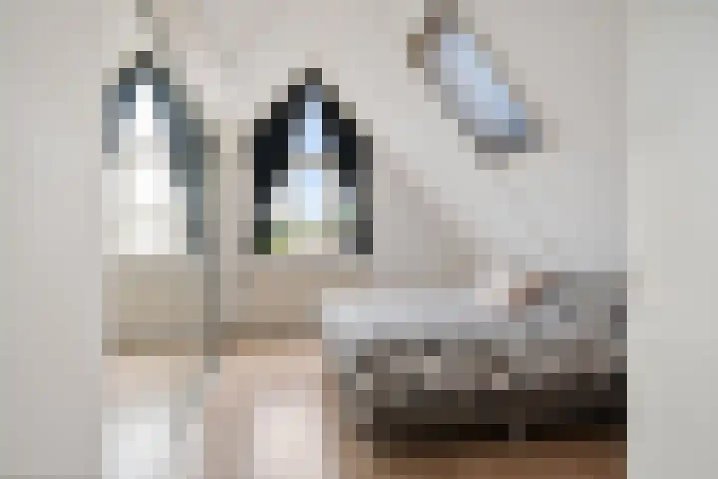 Koos Gaastrastrjitte 8 Sneek thumbnail 22
