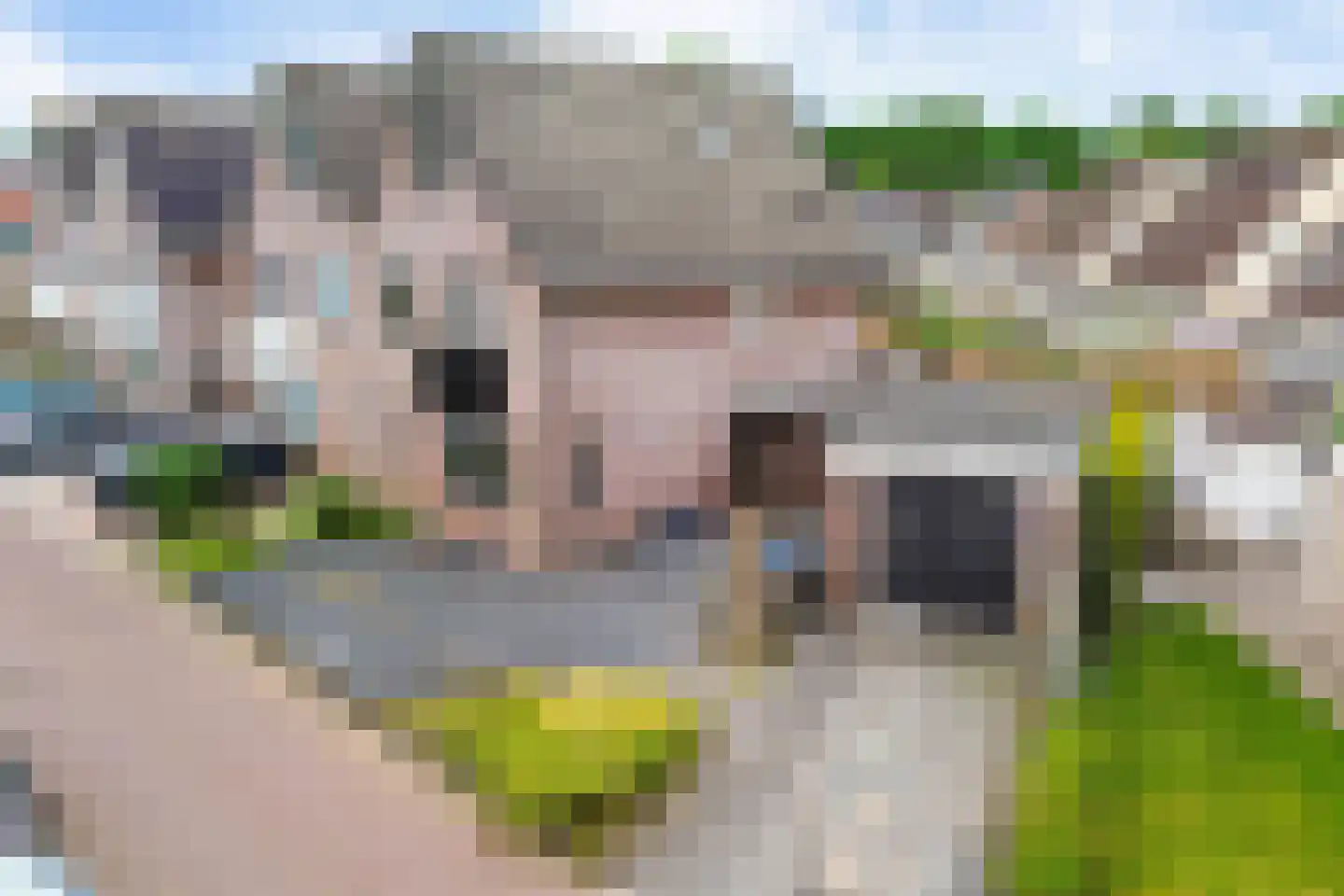 Koos Gaastrastrjitte 8 Sneek thumbnail 32