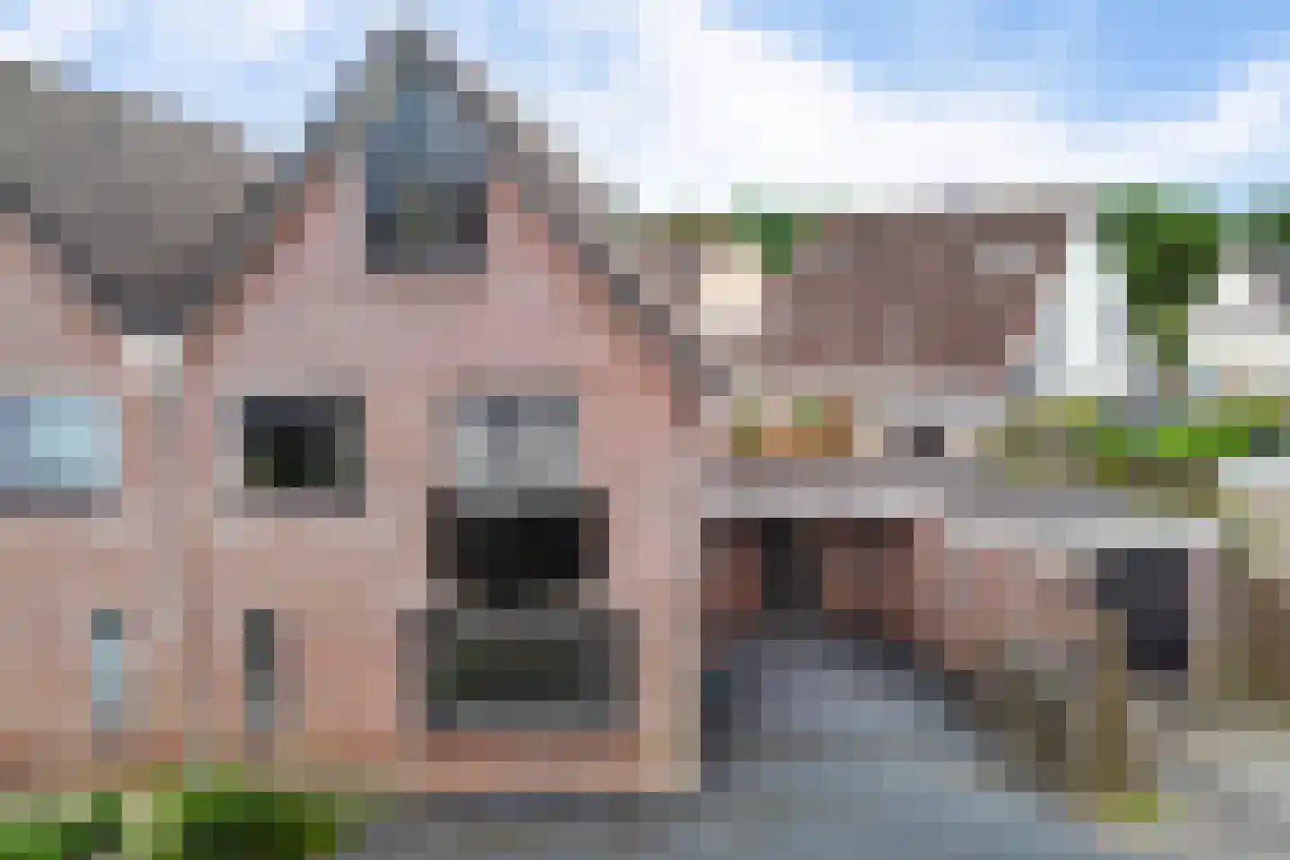 Koos Gaastrastrjitte 8 Sneek thumbnail 33