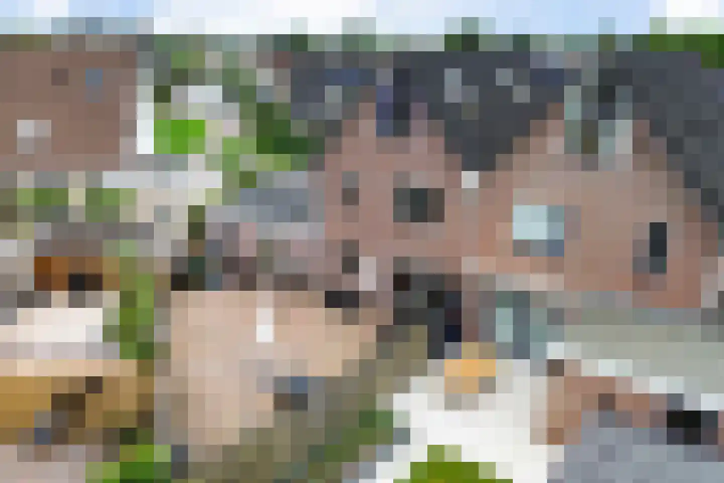 Koos Gaastrastrjitte 8 Sneek thumbnail 35