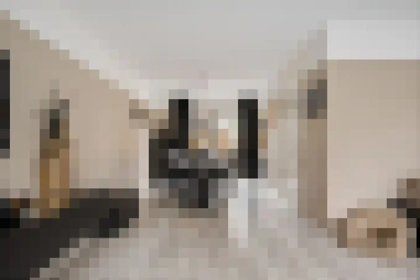 Koos Gaastrastrjitte 8 Sneek thumbnail 7