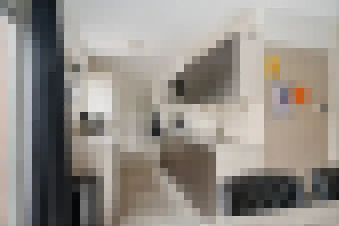 Koos Gaastrastrjitte 8 Sneek thumbnail 9
