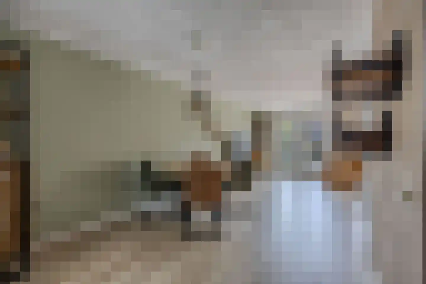 Koos Speenhofflaan 40 Beverwijk thumbnail 13