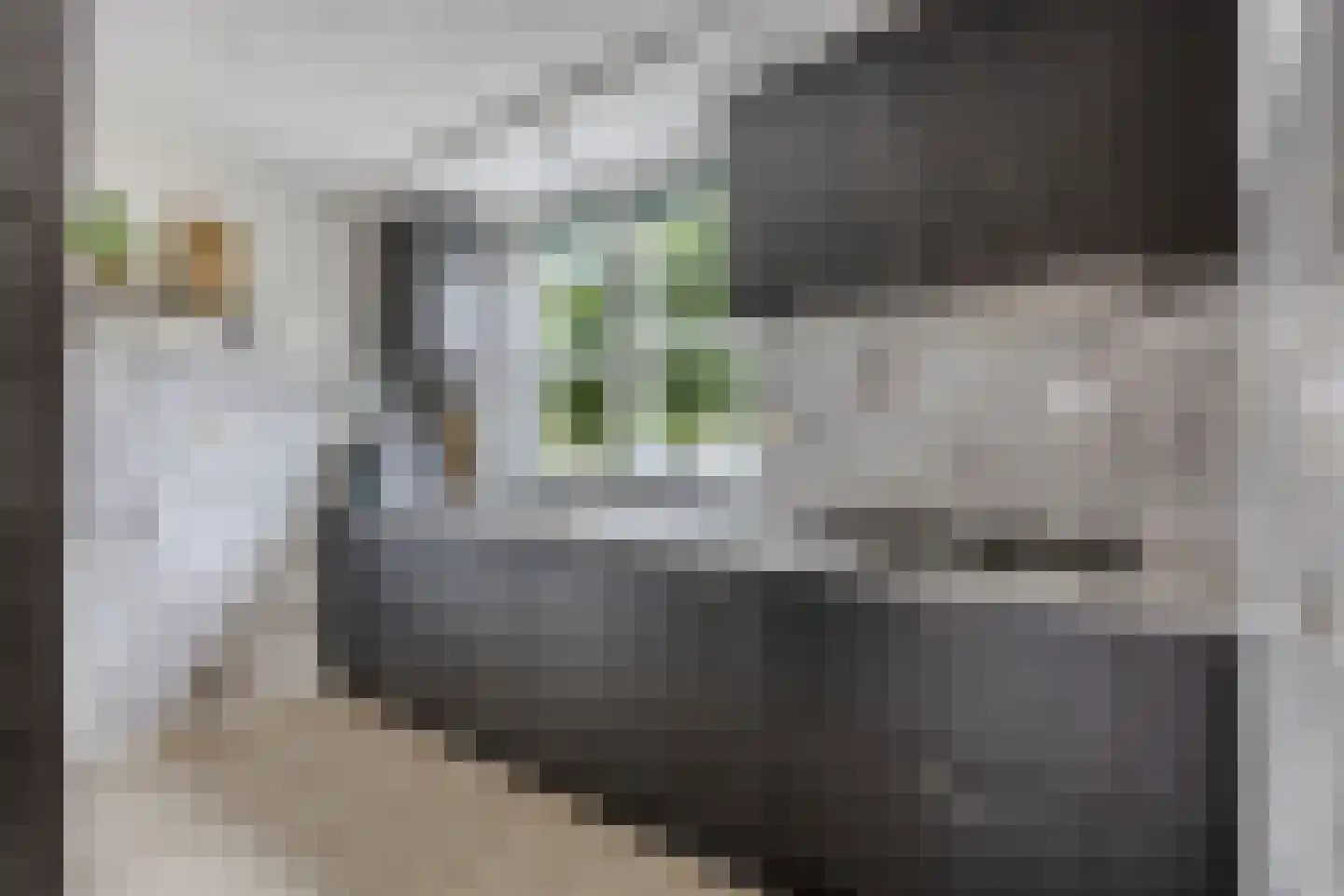 Koos Speenhofflaan 40 Beverwijk thumbnail 18