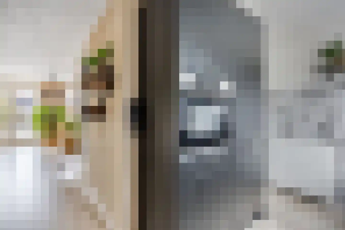 Koos Speenhofflaan 40 Beverwijk thumbnail 22