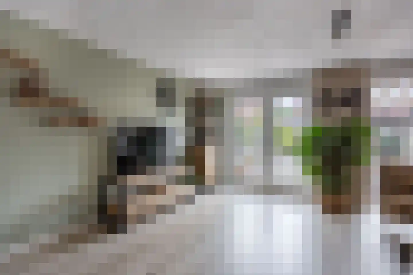 Koos Speenhofflaan 40 Beverwijk thumbnail 8