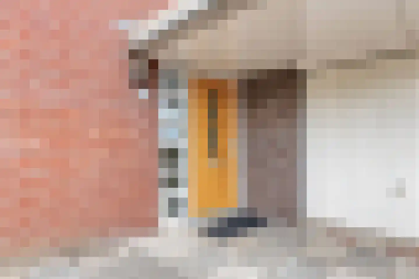 Koos Speenhofflaan 43 Beverwijk thumbnail 30