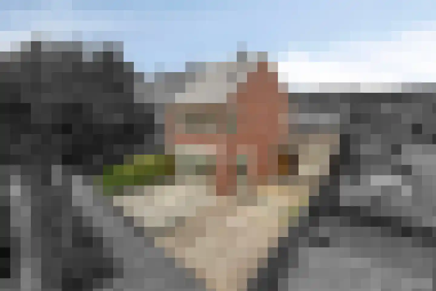 Koos Speenhofflaan 43 Beverwijk thumbnail 34