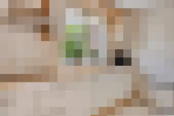 Koos Speenhofflaan 46 Beverwijk thumbnail 11