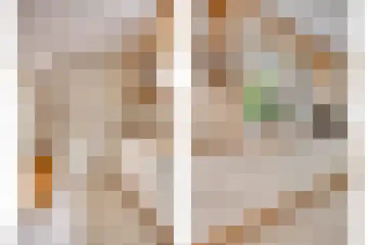 Koos Speenhofflaan 46 Beverwijk thumbnail 12