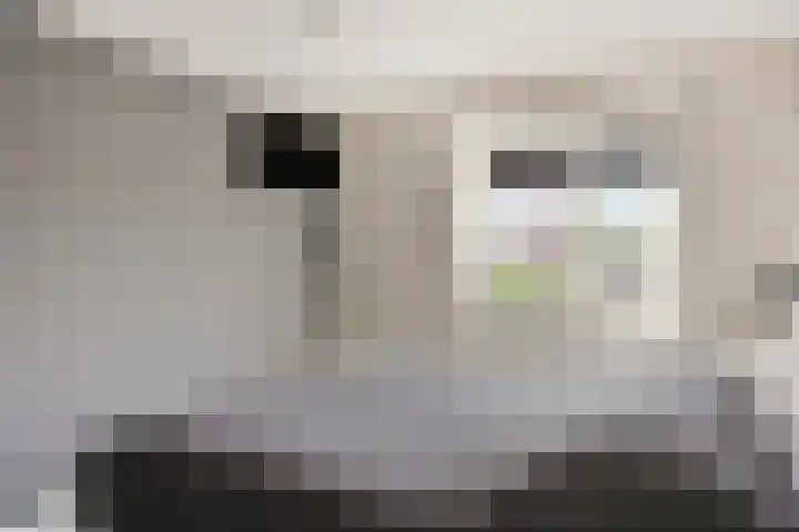 Koos Speenhofflaan 46 Beverwijk thumbnail 19