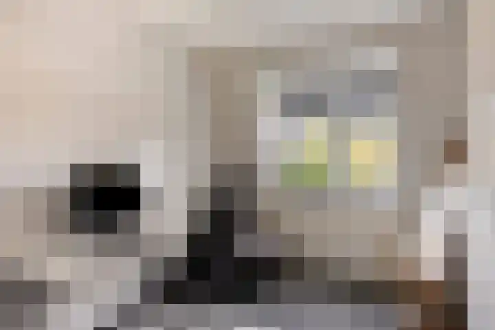 Koos Speenhofflaan 46 Beverwijk thumbnail 22