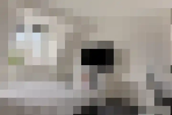 Koos Speenhofflaan 46 Beverwijk thumbnail 29