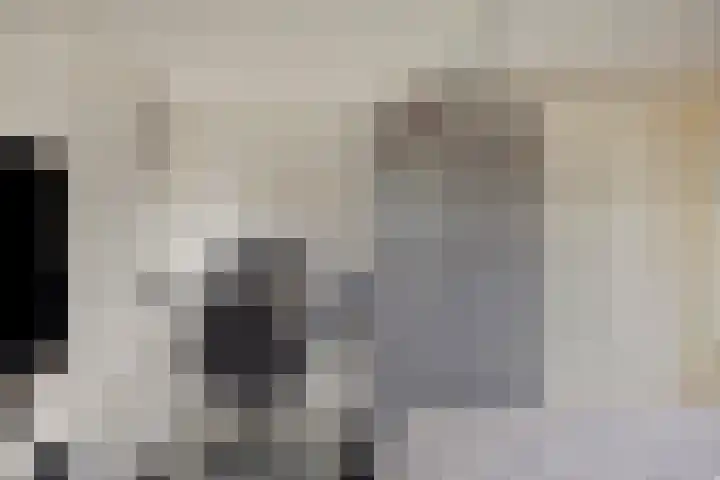 Koos Speenhofflaan 46 Beverwijk thumbnail 30