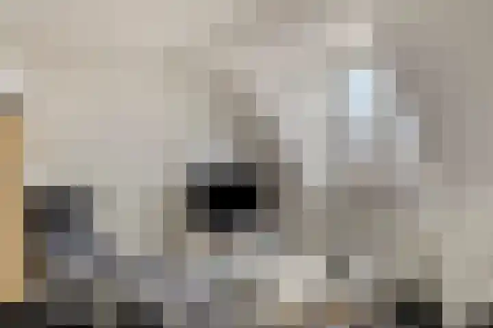 Koos Speenhofflaan 46 Beverwijk thumbnail 31