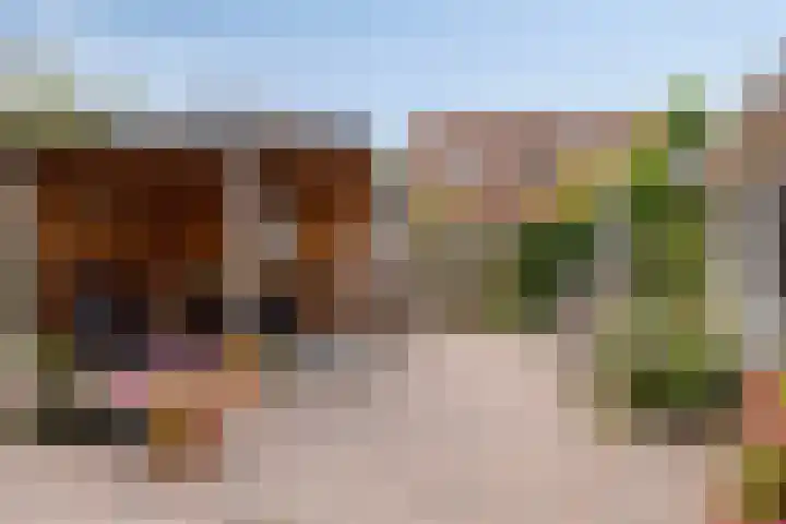 Koos Speenhofflaan 46 Beverwijk thumbnail 36