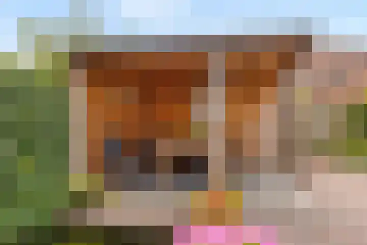 Koos Speenhofflaan 46 Beverwijk thumbnail 37