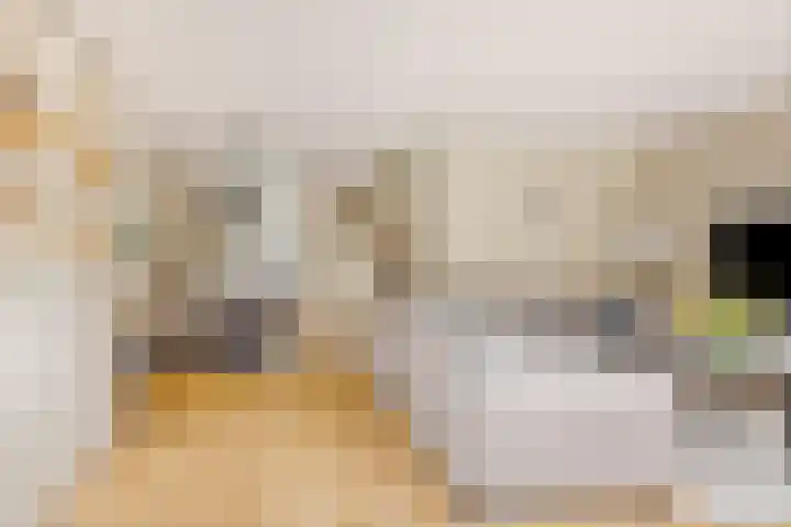 Koos Speenhofflaan 46 Beverwijk thumbnail 4