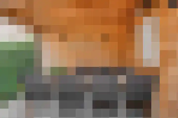 Koos Speenhofflaan 46 Beverwijk thumbnail 42