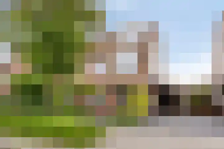 Koos Speenhofflaan 46 Beverwijk thumbnail 44
