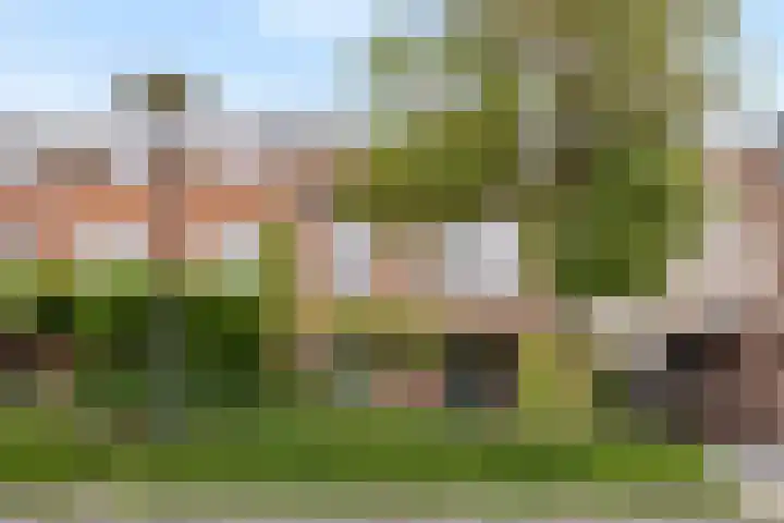 Koos Speenhofflaan 46 Beverwijk thumbnail 46