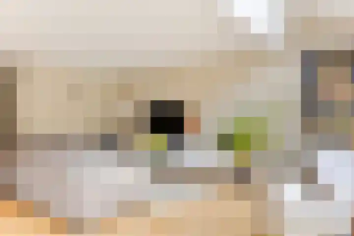 Koos Speenhofflaan 46 Beverwijk thumbnail 5