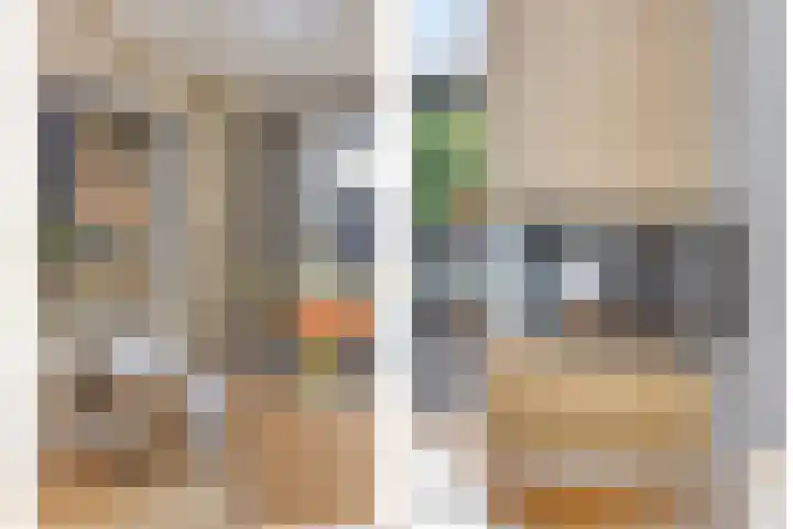 Koos Speenhofflaan 46 Beverwijk thumbnail 8
