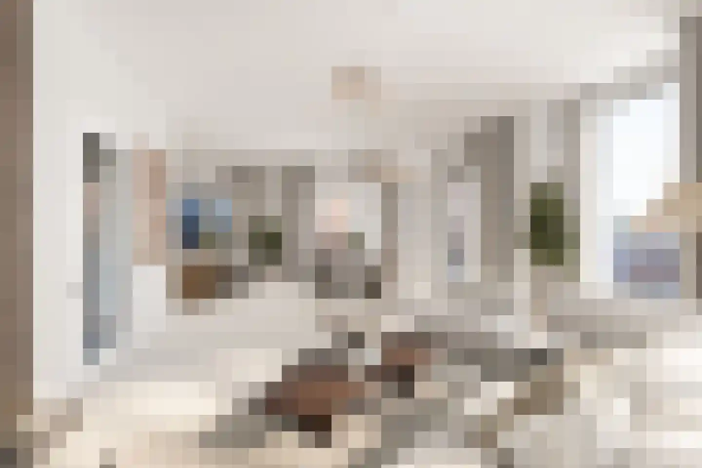 Koos Speenhoffstraat 11 Rotterdam thumbnail 8