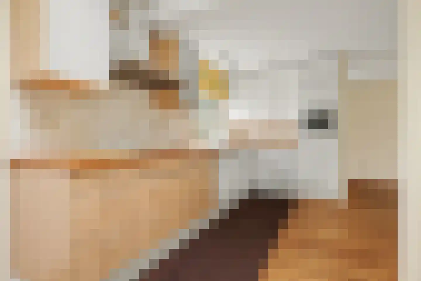 Koos Stikvoortlaan 8 Alkmaar thumbnail 10