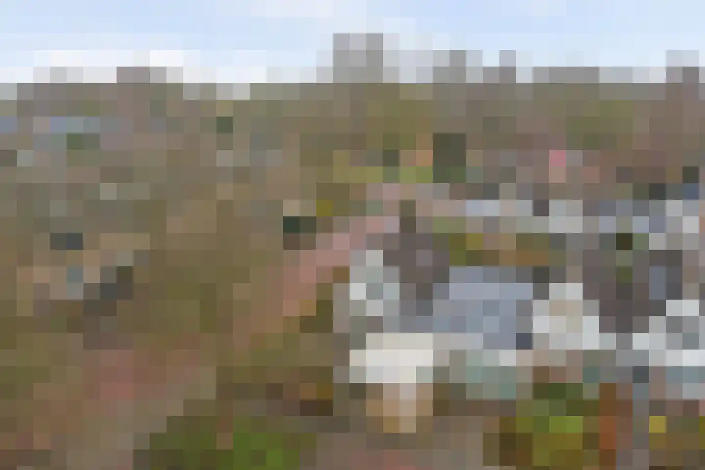 Koos Stikvoortlaan 8 Alkmaar thumbnail 38