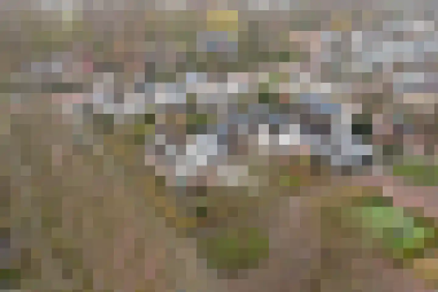Koos Stikvoortlaan 8 Alkmaar thumbnail 39