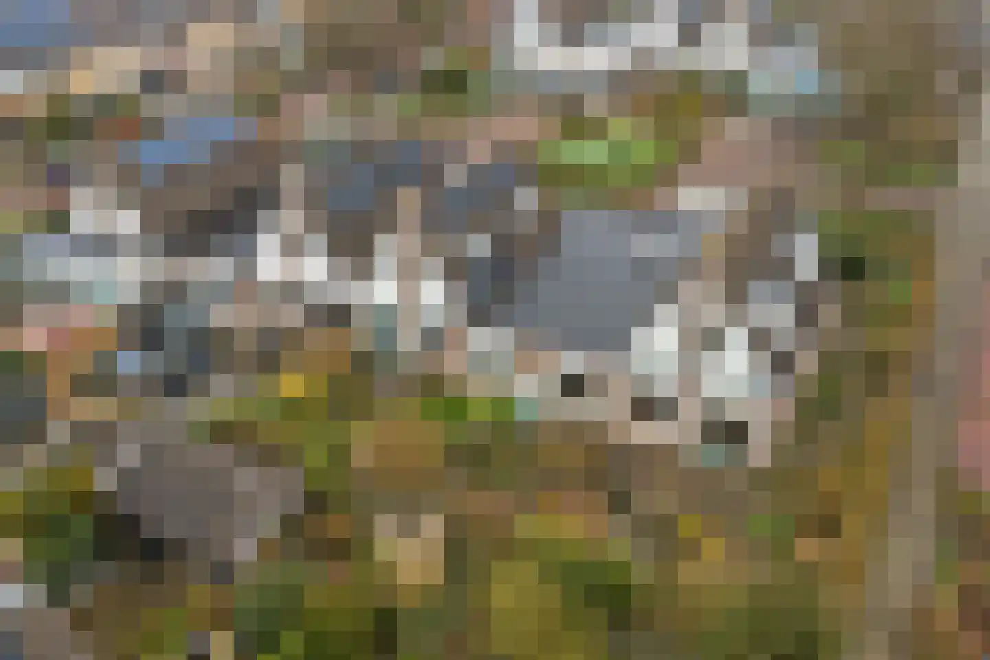 Koos Stikvoortlaan 8 Alkmaar thumbnail 41