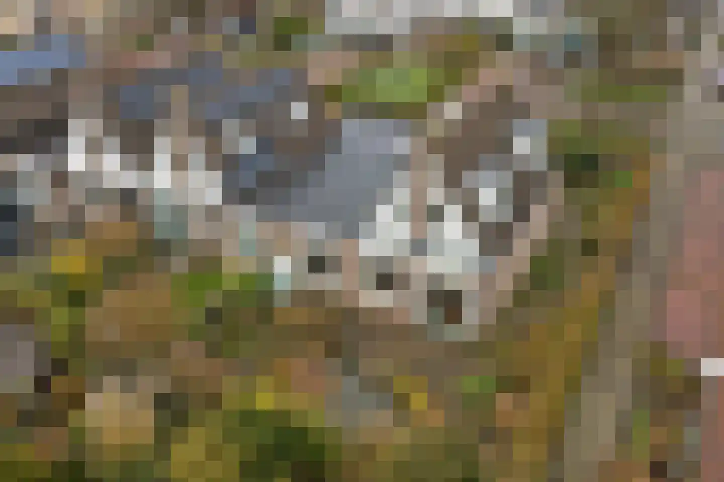 Koos Stikvoortlaan 8 Alkmaar thumbnail 42