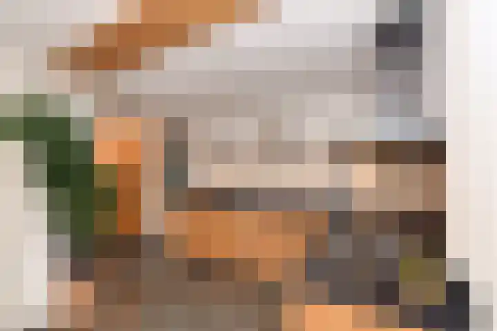 Koos Veraartstraat 5 Steenbergen thumbnail 13
