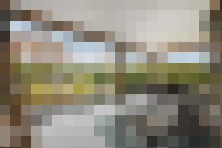 Koos Veraartstraat 5 Steenbergen thumbnail 15