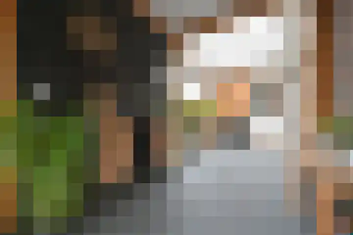 Koos Veraartstraat 5 Steenbergen thumbnail 17