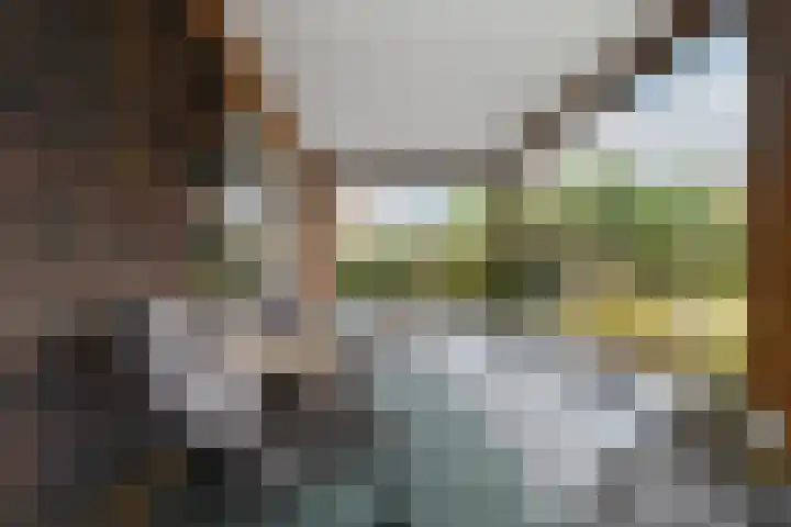 Koos Veraartstraat 5 Steenbergen thumbnail 18