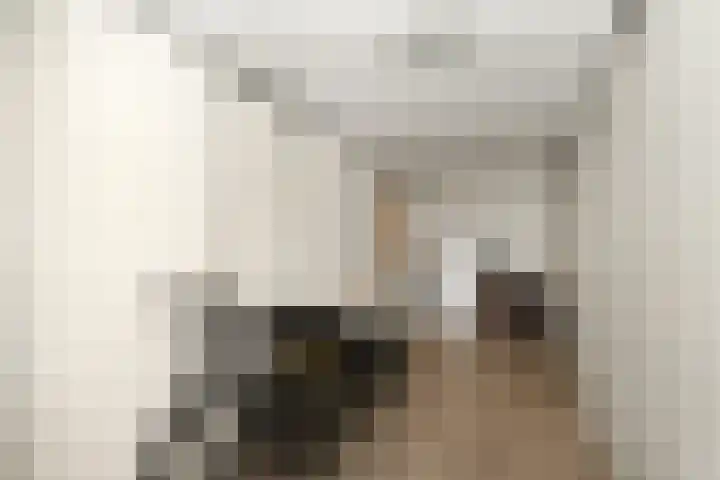 Koos Veraartstraat 5 Steenbergen thumbnail 20