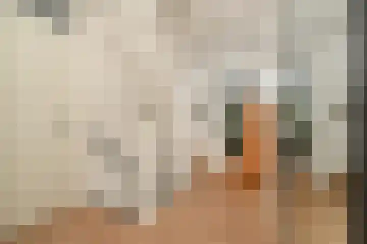 Koos Veraartstraat 5 Steenbergen thumbnail 22