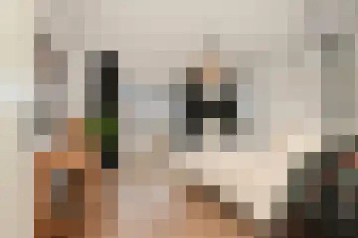 Koos Veraartstraat 5 Steenbergen thumbnail 25