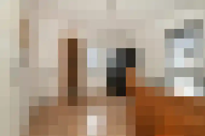 Koos Veraartstraat 5 Steenbergen thumbnail 27