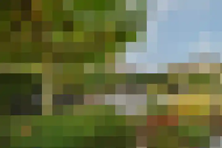 Koos Veraartstraat 5 Steenbergen thumbnail 33