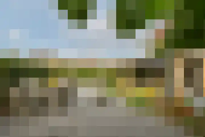 Koos Veraartstraat 5 Steenbergen thumbnail 34