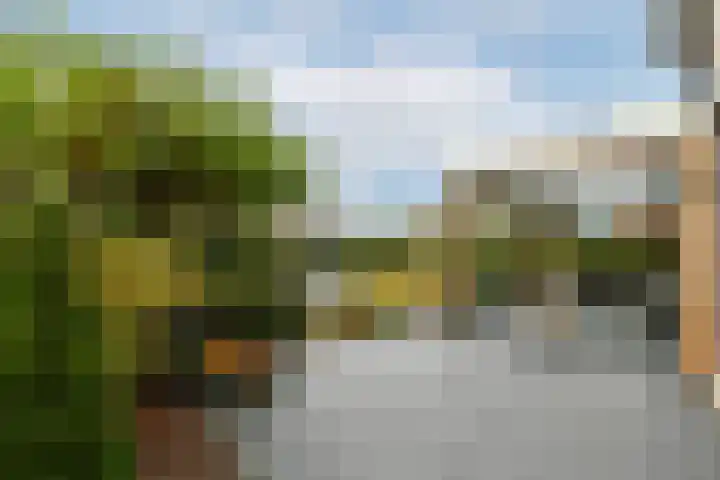 Koos Veraartstraat 5 Steenbergen thumbnail 35