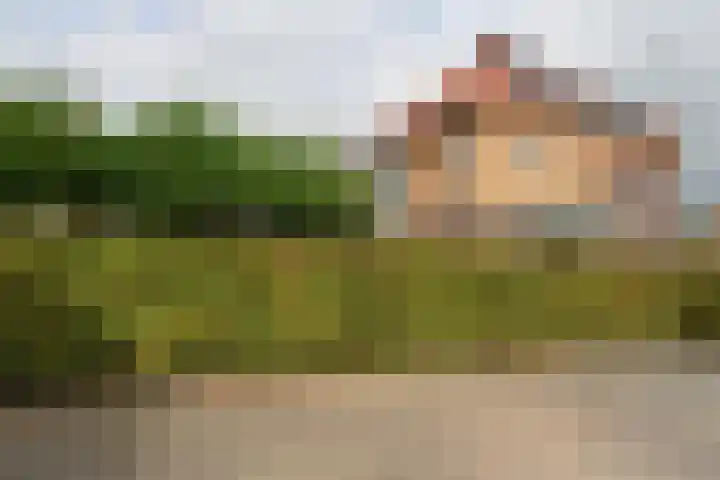 Koos Veraartstraat 5 Steenbergen thumbnail 37