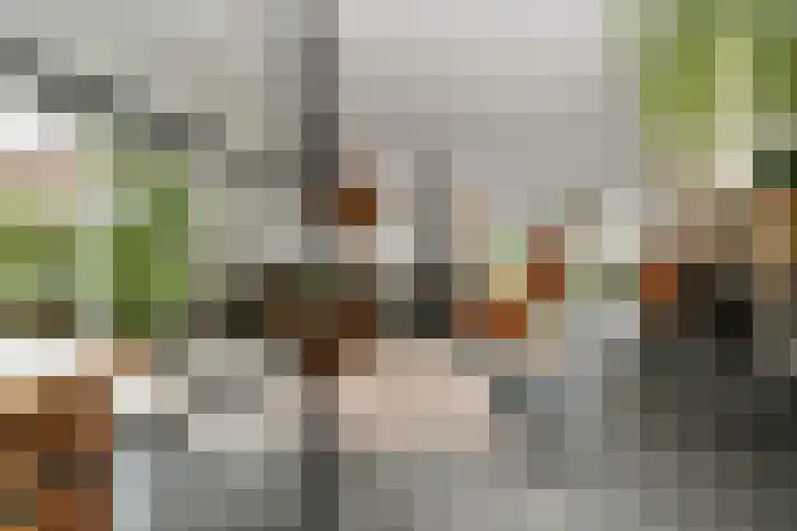 Koos Veraartstraat 5 Steenbergen thumbnail 5