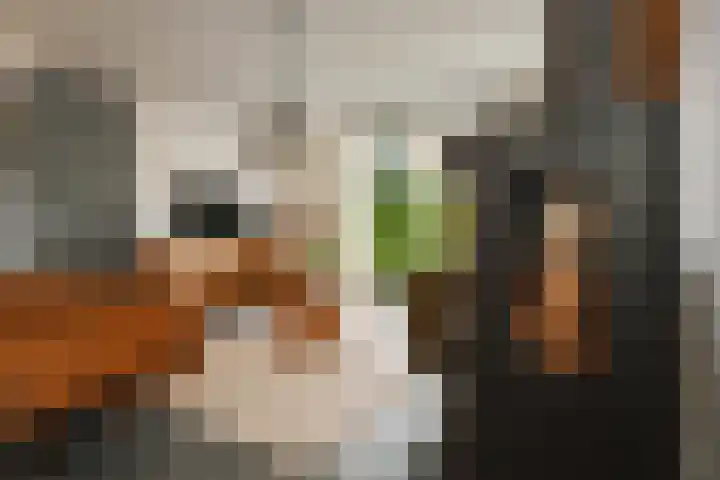 Koos Veraartstraat 5 Steenbergen thumbnail 6