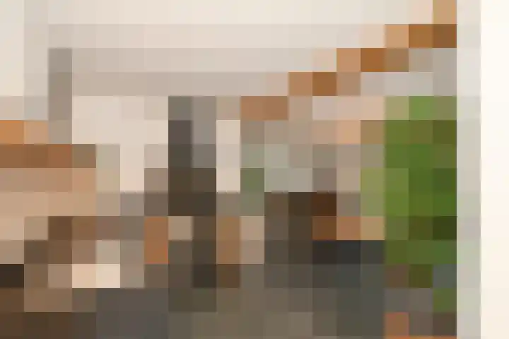 Koos Veraartstraat 5 Steenbergen thumbnail 7